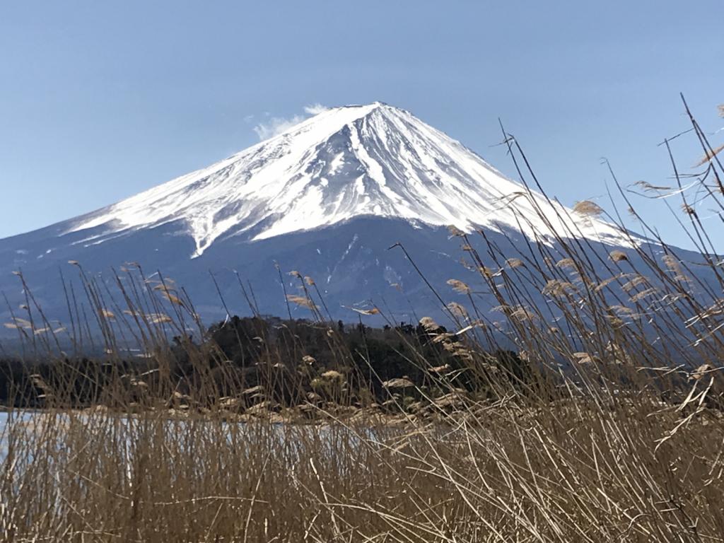 Mt Fiji, Yamanashi: Lucked out and had beautiful weather to see Mt. Fiji